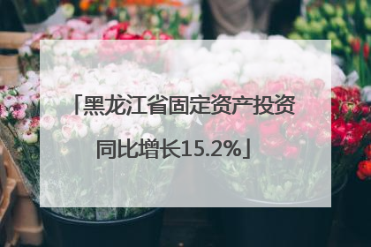 黑龙江省固定资产投资同比增长15.2%